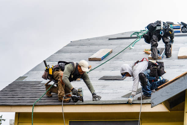Professional Emergency Roof Repair technician working in Conesus, NY